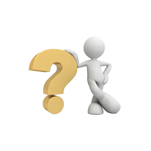 question Velectronics Software